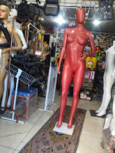 Imagem 1